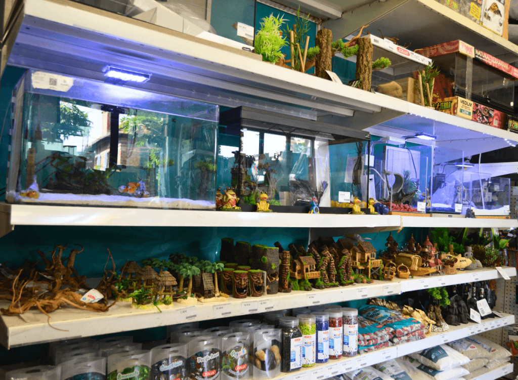 15-aquarium-animalerie-de-chatou