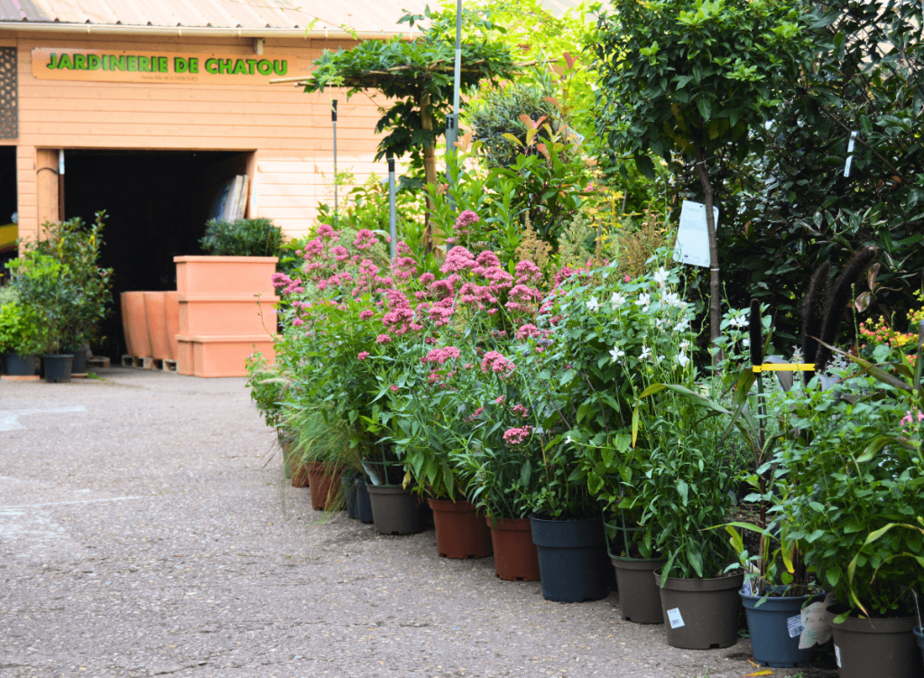3-jardinerie-de-chatou
