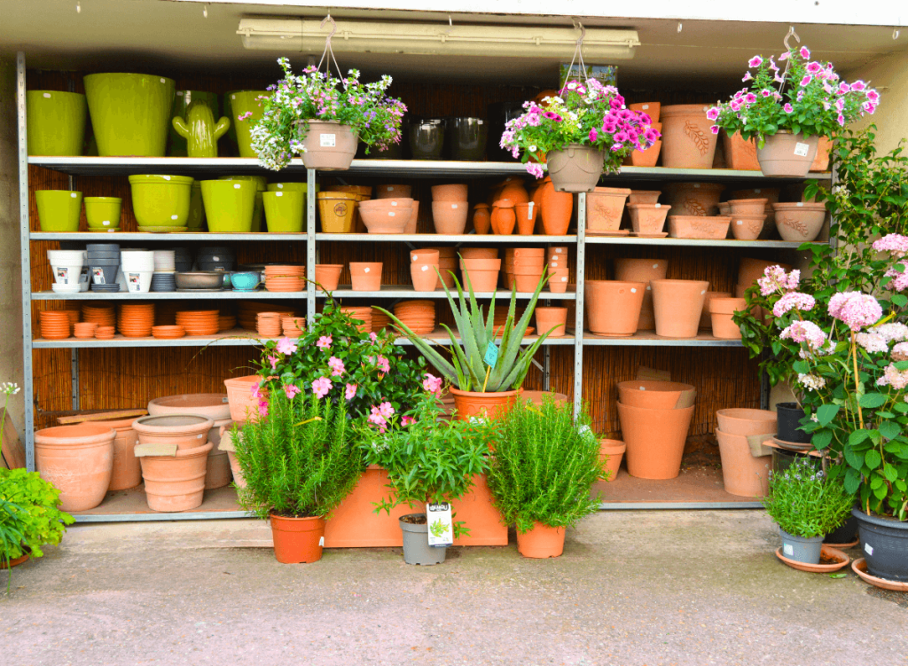 6-pots-plantes-jardinerie-de-chatou