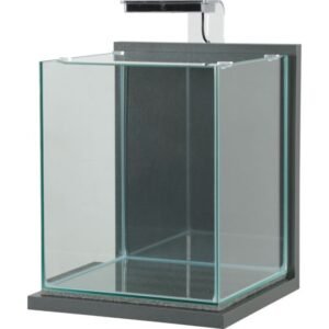 JALAYA XL GRIS ANTHRACITE ZOLUX