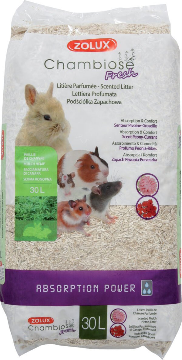 CHAMBIOSE 30L PIV GRO - ZOLUX