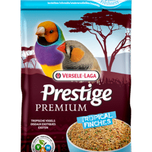 EXOTIQUE PRENIUM PRESTIGE 800GR