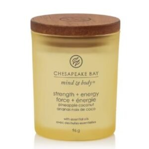 TRUMBER PM FORCE ET ENERGIE