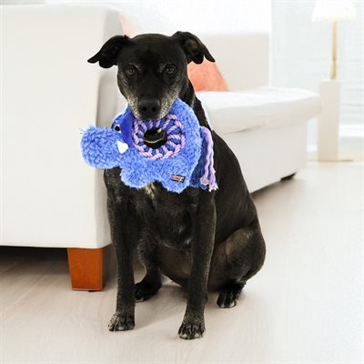 KONG Ringaroo Elephant M. Jouet peluche interactif pour chien.