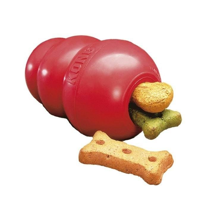 kong ringaroo pig m chien jouet peluche anneau interaction