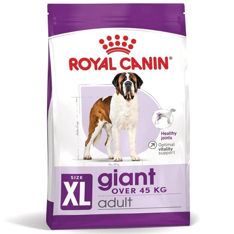 royal canin giant adult 15kg croquettes chien grande race adulte