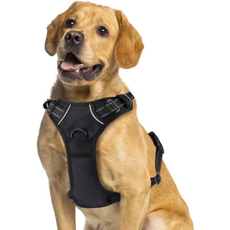 Harnais nylon noir pour chien 50-74 cm. Réglable, robuste et confortable pour un usage quotidien.